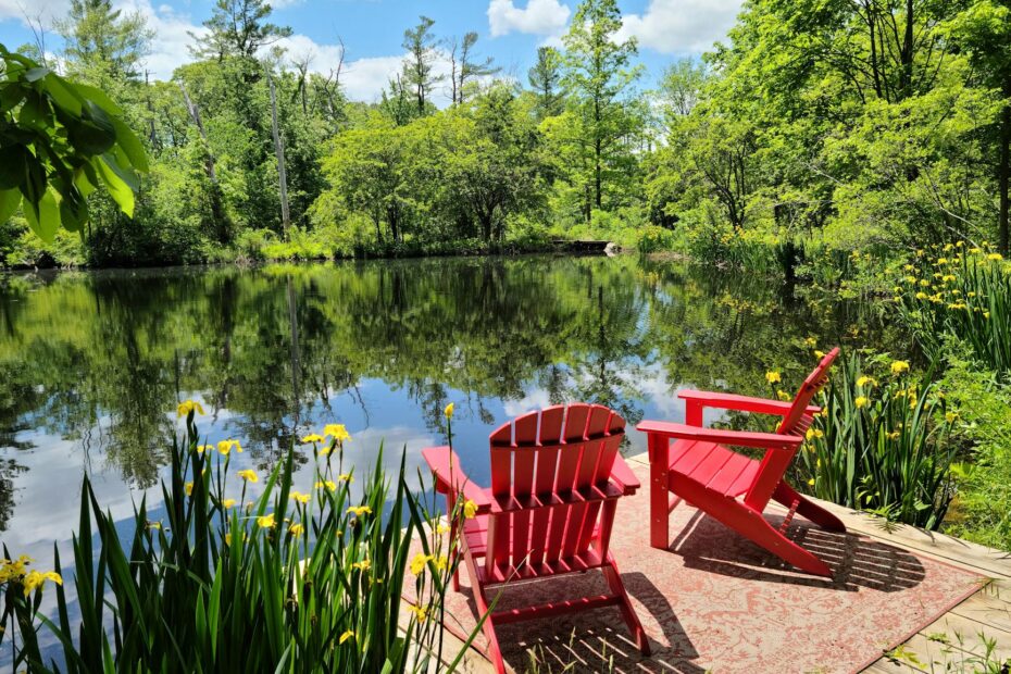 wooden chairs on lakeshore near forest